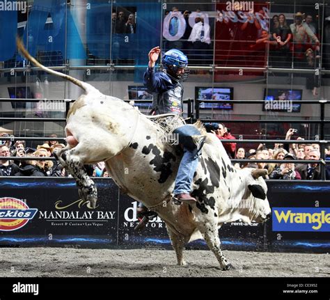 Professional Bull Riders' Top 10 Bull Riders compete in PBR's Built ...