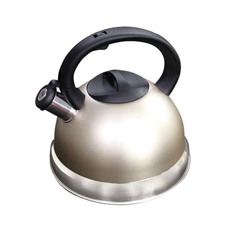 Stainless Steel Whistling Kettle (Metallic) – safegas