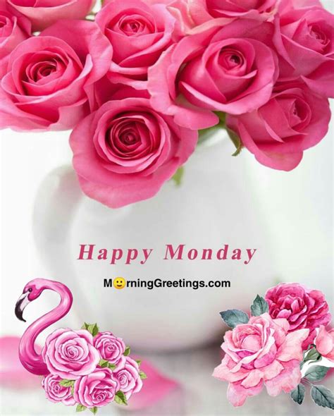 50 Best Monday Morning Quotes Wishes Pics - Morning Greetings – Morning ...