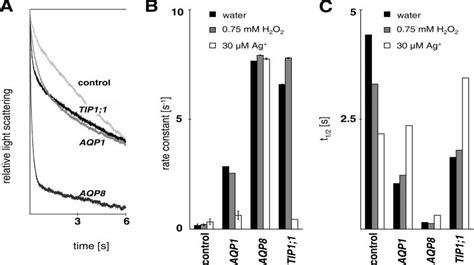 Aquaporin Mediated Osmotic Water Transport Spheroplasts From Yeast