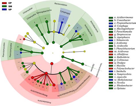 Least Discriminant Analysis Lda Effect Size Taxonomic Cladogram