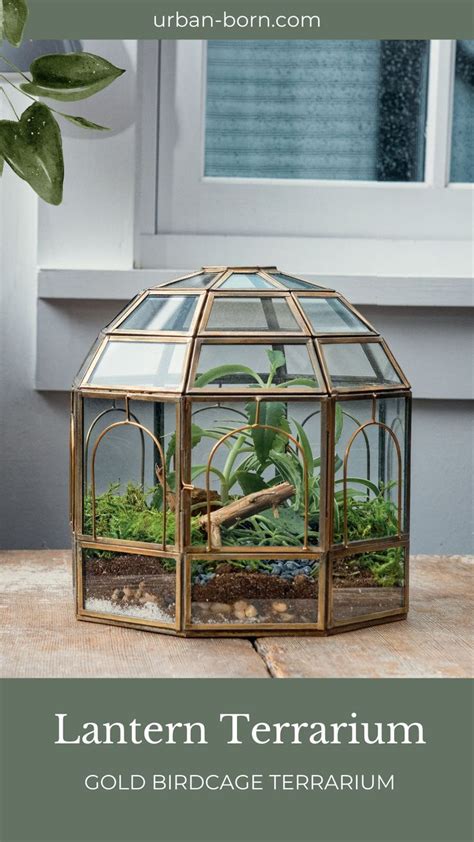 Urban Born Handmade Birdcage Large Glass Terrarium X X