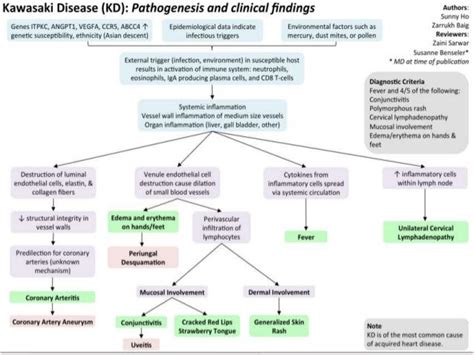 Kawasaki Disease