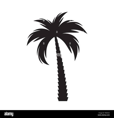 Palmera Negra Silueta Ilustración Vectorial Eps10 Imagen Vector De