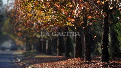 Cuándo comienza el otoño en Argentina