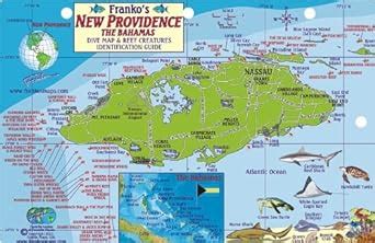 New Providence Bahamas Dive Map Reef Creatures Guide Franko Maps