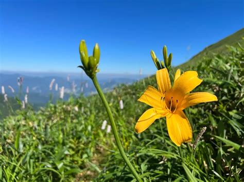 谷川連峰馬蹄形縦走 反時計回り ナオキーさんの谷川岳・七ツ小屋山・大源太山の活動データ Yamap ヤマップ