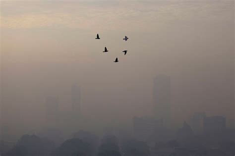 La Capital De Indonesia Nombrada Ciudad M S Contaminada Del Mundo