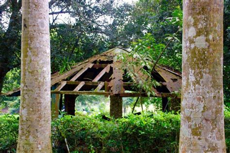 Aburi Botanical Gardens In Ghana Why You Should Visit That Place