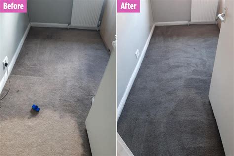 Diy Carpet Dye Do It Your Self