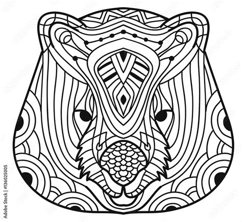 Animals Of Australia Wombat Cute Line Drawing Of A Head Of A Wombat