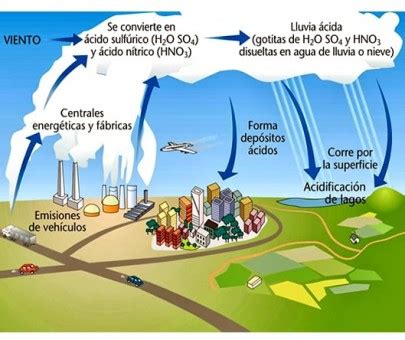 Ciclo Del Azufre Blog De Biolog A