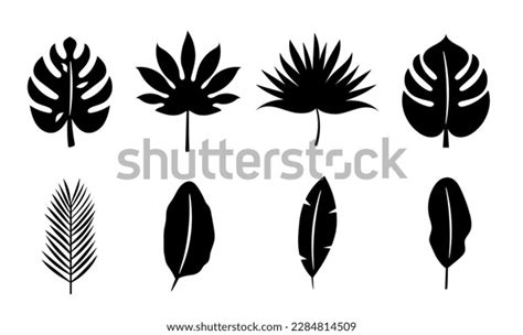 Set Silhouettes Tropical Leaves Plants On Stock Vector Royalty Free