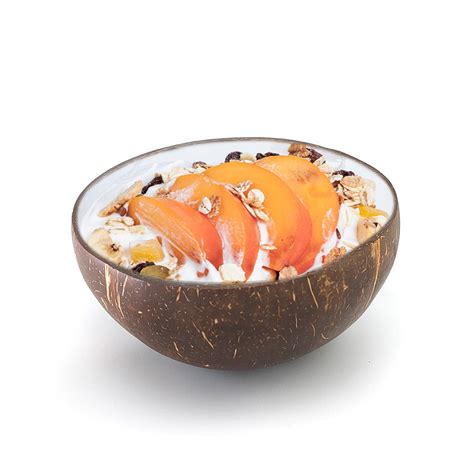 Coconut Shell Bowls – Reyiko