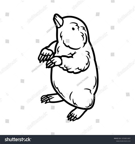Cartoon Image Naked Mole Rat Which Stock Illustration Shutterstock