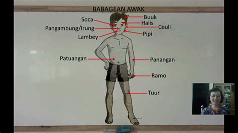 Bahasa Sunda Kelas 1 Babagean Awak Youtube