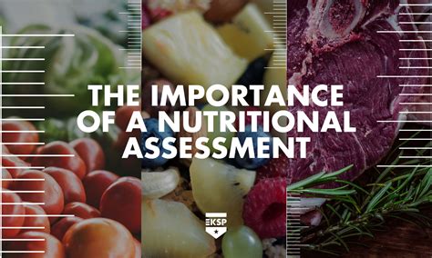 The Importance Of A Nutritional Assessment — Eksportsperformance