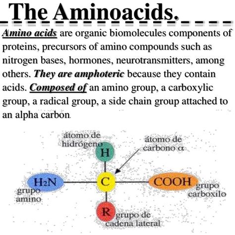 Amino Acids Definition Classification And Functions