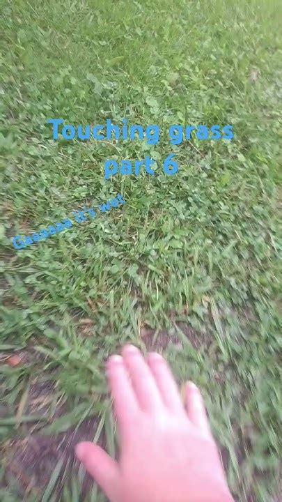 Touching Grass Part 6 It S Wet Youtube