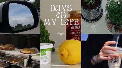 vlog days in my life ปดเทอมแลว ตนไมใหม จดหองนอน grocery