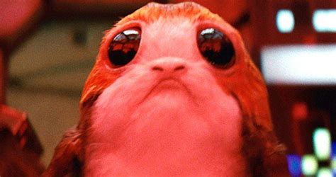 Star Wars The Last Jedi Director On What Inspired Him To Create Porgs