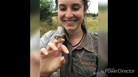 lfga compilation youtube