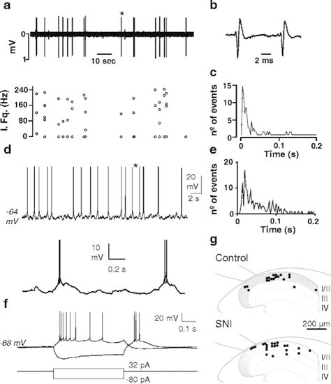 An Original Extracellular Recording From A Typical Ifb Neuron Whose Download Scientific Diagram