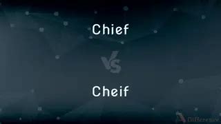 Seated vs. Sitted — Which is Correct Spelling?