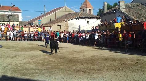 Bercial Segovia De Julio De Suelta De Novillos Fiestas De