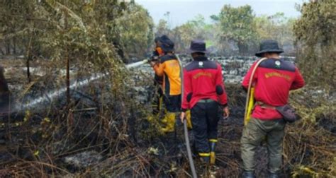 Musim Kemarau Hati Hati Bmkg Deteksi Ratusan Titik Panas Di Kaltim