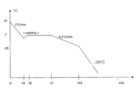 slow freezing coolingfreezing steps  scientific diagram
