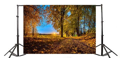 Foto E Videocamere Yongfoto X M Vinile Fondali Fotografici Foresta