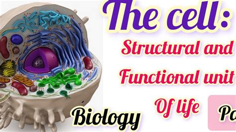 The Cell Cell Introduction Part Biology Youtube