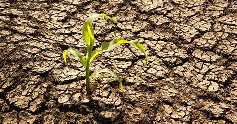 drought impacts  air quality aprilaire blog