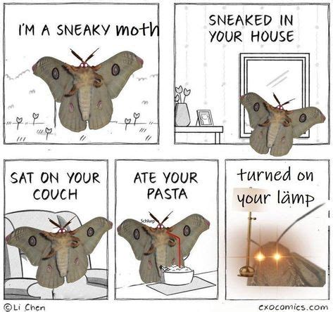 20 Moth memes ideas | moth, memes, funny memes