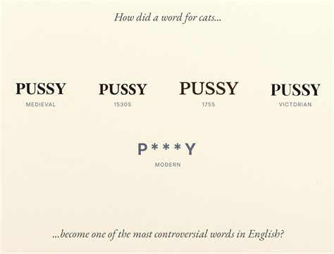 Words Have Histories The Curious Journey Of Pussy Esy Visual Essay Esy