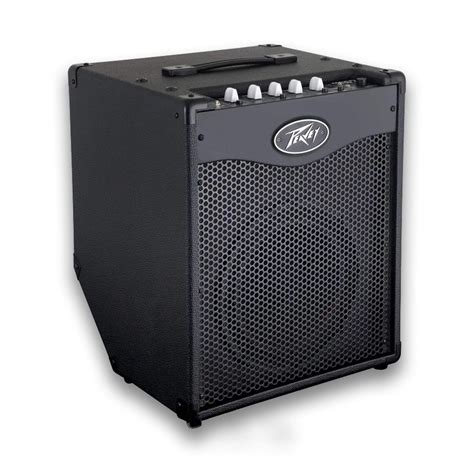 Peavey Bass Combo Amplifier 100 Watts Mx Mdr Electronics