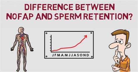 Is Sperm Retention Same As Nofap Heres Your Answer