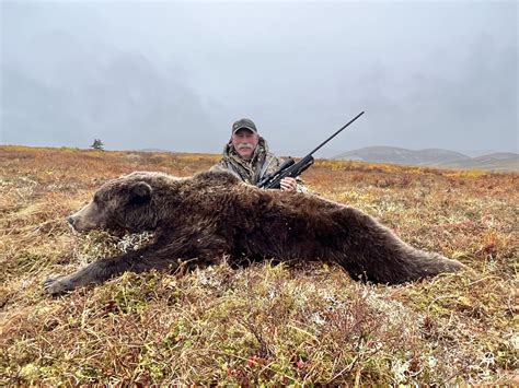 Alaska Bear Hunt Season 2022 - Are You Ready Adventures