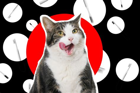 cost of teeth cleaning with insurance 1