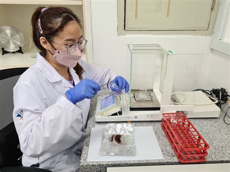 Uncovering the science behind forensic toxicology hair analysis - NUS