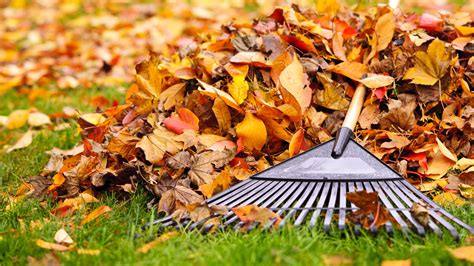 How to rake leaves the easy way — tips and tricks | Tom's Guide
