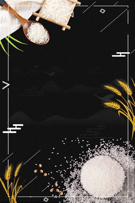 grains harvest rice rice hd image creativita cibo cucina