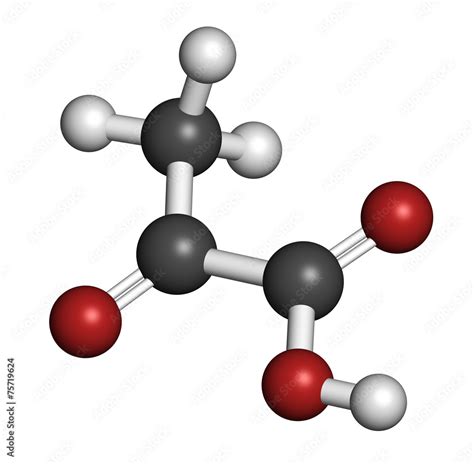 Pyruvic Acid Pyruvate Molecule Stock Illustration Adobe Stock