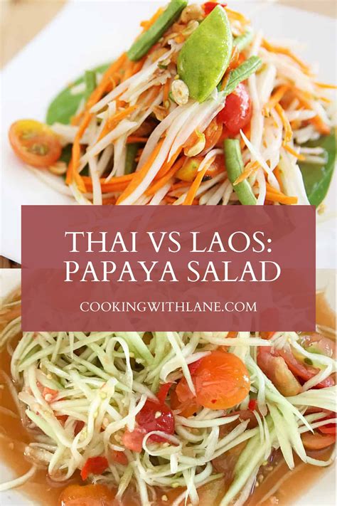 What is the difference between thai and laos papaya salad – Artofit