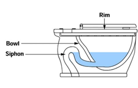 Toilet Siphon Jet Diagram