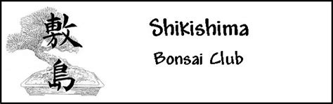 Shikishima Bonsai Club Pleasant Hill California East Bay Contra Costa