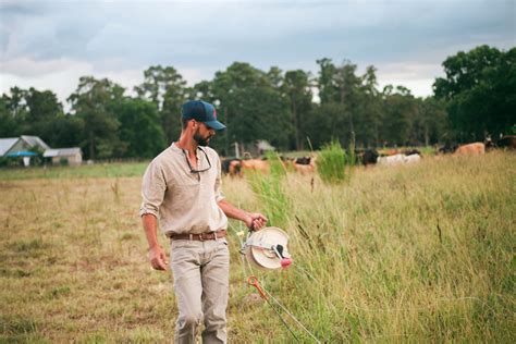 A Sustainable Take on Ranching and the Beef Industry