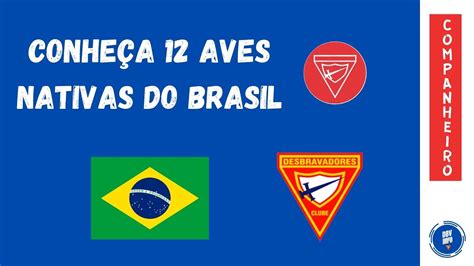 Doze Árvores Nativas Desbravadores - Doze árvores Nativas Desbravadores - RETOEDU