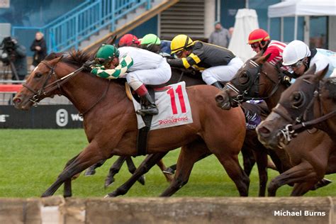 Big-Time Performance From Big Invasion in G2 Nearctic - Past The Wire